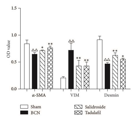 The Effect Of Salidroside On The Expression Of Corpora Cavernosum Download Scientific Diagram