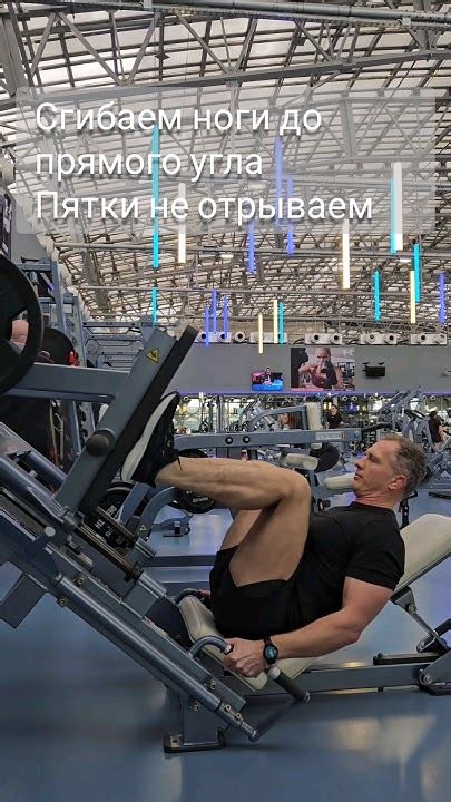 Жим ногами. Упражнение для мышц ног #ноги #тренировка #мышцы #зож - YouTube