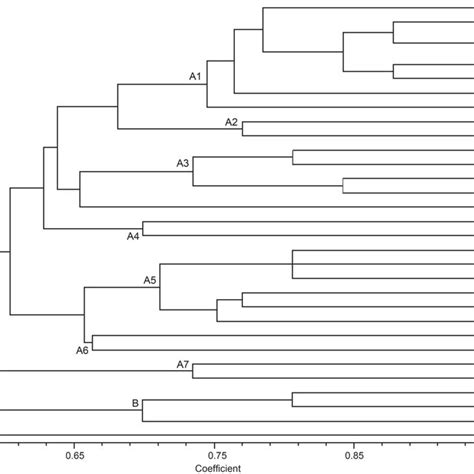 Clustering Of Plasmid Profiles Of L Lactis Strains By Using Upgma Download Scientific Diagram