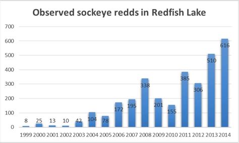 Once Nearly Extinct Endangered Idaho Sockeye Regaining Fitness