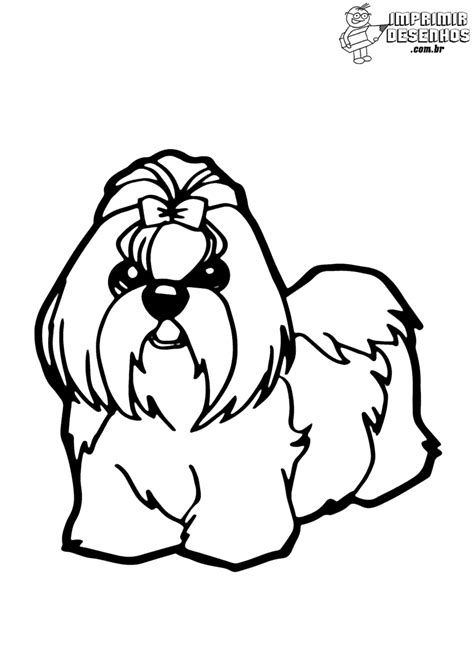 Desenho De Cachorro Shih Tzu Para Colorir Tudodesenhos Gratis Een The