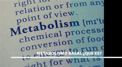 Cómo podemos incrementar nuestro metabolismo basal MyFitBody