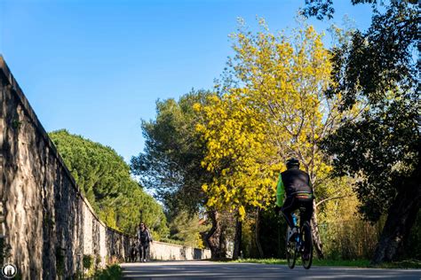 Costal Cycle Path Of Grimaud V Cycling Sports Grimaud Golfe De