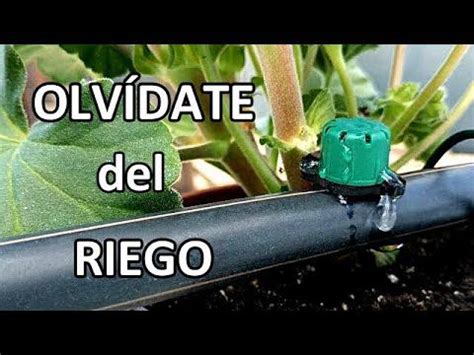 Riego Por Goteo Casero Regulable Y Sencillo Estupendo Si Te Vas De