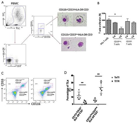 Mdscs Of Human Bladder Cancer Are Defined As Cd11b Cd33 Low Hla Dr −