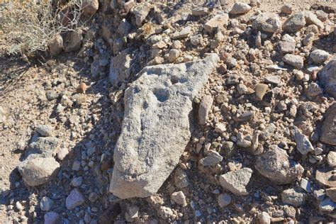 Patrick Tillett: Antelope Hill Petroglyphs - SW Arizona