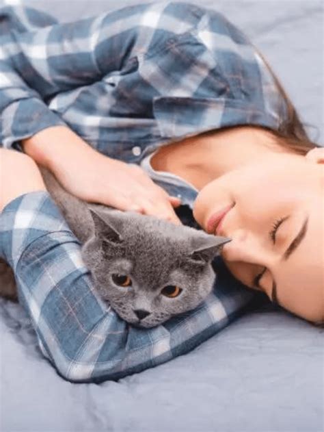 7 Reasons Why Your Cat Sleeps With You And Not Your Husband Story The