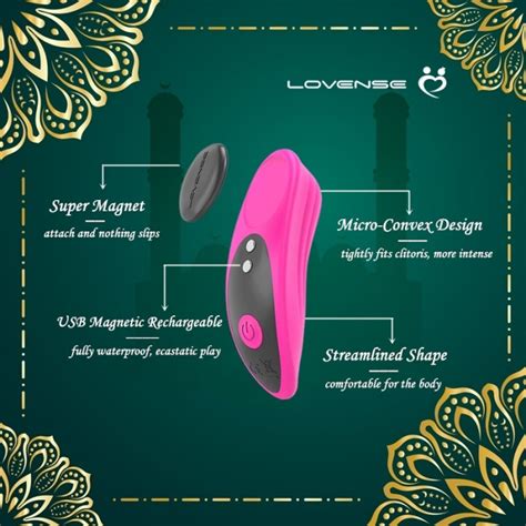Ferri | Lovense Bluetooth Toys Dubai | Clitoris Panty Vibrator ...