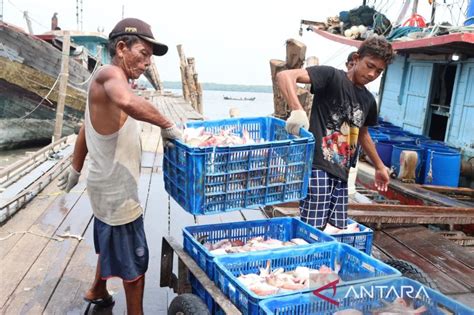 Kkp Buka Lokasi Tingkatkan Pelayanan Perizinan Di Tempat Antara News