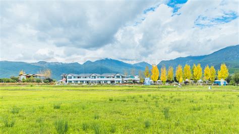 湿地公园高清图片云南丽江拉市海湿地公园风景名胜免费下载格式5000像素编号70843249 千图网