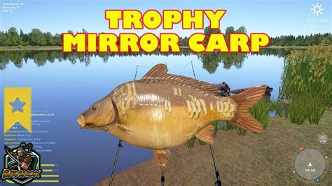 Mirror Carp Trophy At Amber Lake Active Hotspot Russian Fishing 4