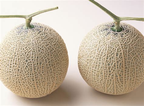 Most Expensive Fruit: Yubari King Melons: Food + Cooking : gourmet.com