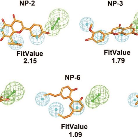 Pharmacophore Based Inhibitor Screening The Ligand Pharmacophore