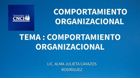 Comportamiento Organizacional