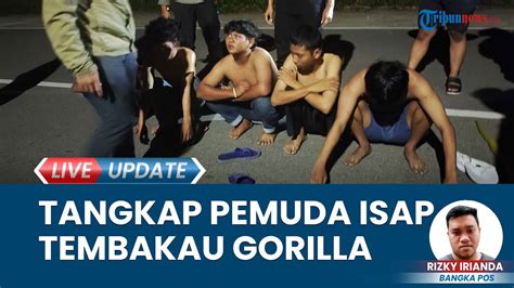 Pemuda Ditangkap Polsek Tamansari Saat Isap Tembakau Gorila Sintetis