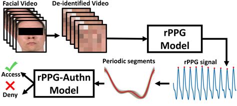 Biometric Authentication Based On Enhanced Remote Photoplethysmography