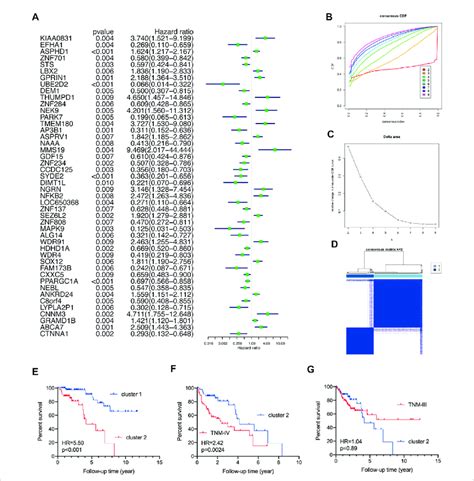 Reclassify TNM Stage I II CRC Patients Into Two Novel Clusters With