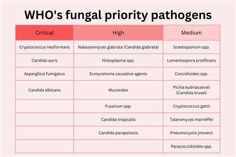 WHO publishes first list of fungal priority pathogens