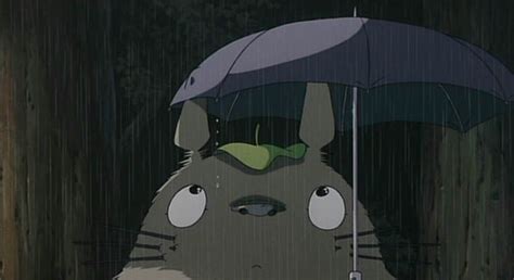 Ghibli Mi Vecino Totoro Totoro Ghibli Y Mi Amigo Totoro