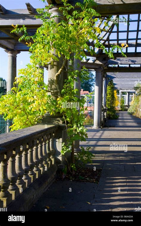 Pergola Hill Garden Hampstead Hi Res Stock Photography And Images Alamy