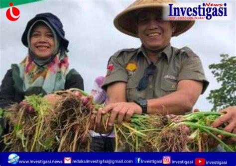 Kepala Dinas Pertanian Dan Pangan Kota Bukittinggi Hadiri Farm Field