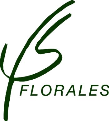 Blumen verschicken über den lokalen Floristen Florales Rüdesheim