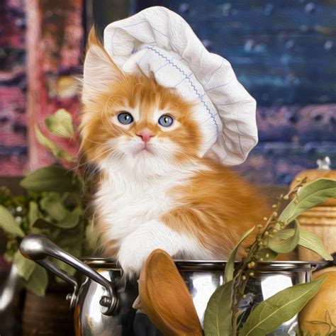 Kitten Cook Chef Funny Cute Cats Cute Cats And Kittens Kittens