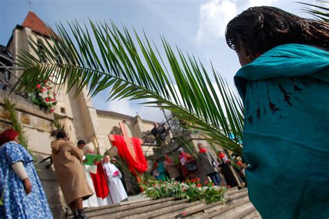 Aprenda Por Qué Se Usan Ramas De Palma El Domingo De Ramos