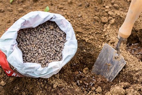 Preparing Soil For Planting Fertilizing With Compressed Chicken Manure