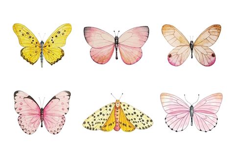 Premium Vector Watercolor Hand Drawn Butterfly Vector Set