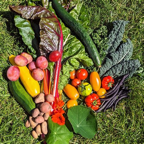 Lots of wonderful organic produce is ready now. – Arkwright Meadows