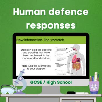 Human Defence Responses GCSE By CMGs Science Lessons TPT