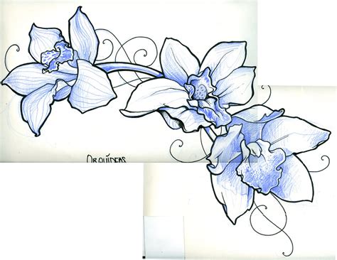 gousicteco: Orchid Drawing Tattoo Images