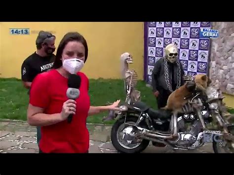 C Opanheiro Sumido De Motoqueiro Fantasma Pode Ser O Cachorro Que Foi