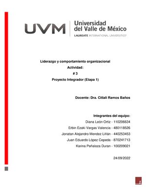 A3 Equipo 2 1 Liderazgo Y Comportamiento Liderazgo Y