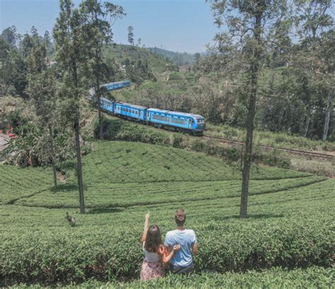 Itinéraire De 10 Jours Au Sri Lanka Les Incontournables