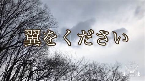 お陰様で登録者様100人突破記念oありがとうございますっ´ω`ﾉ Youtube