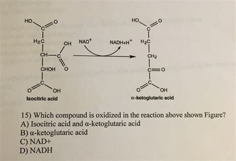 Solved Ho Ho H C Nadh H H C Oh Nad Ch Ch Choh O Oh Oh Chegg