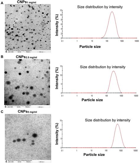 Antibacterial Activity Of Chitosan Nanoparticles Against Pathogenic N