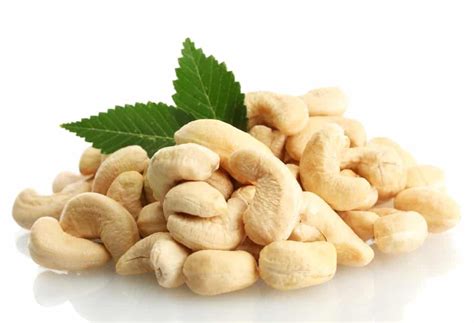 Les Bienfaits De La Noix De Cajou Bonheur Et Sant Cashew Nut Food