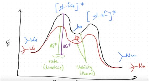 SN1 Flashcards | Quizlet 