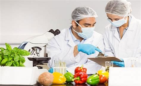 Why Food Testing Is Important In India Sigmatest