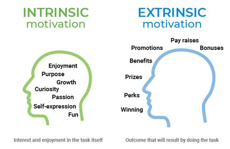 What Is Extrinsic Motivation In Psychology