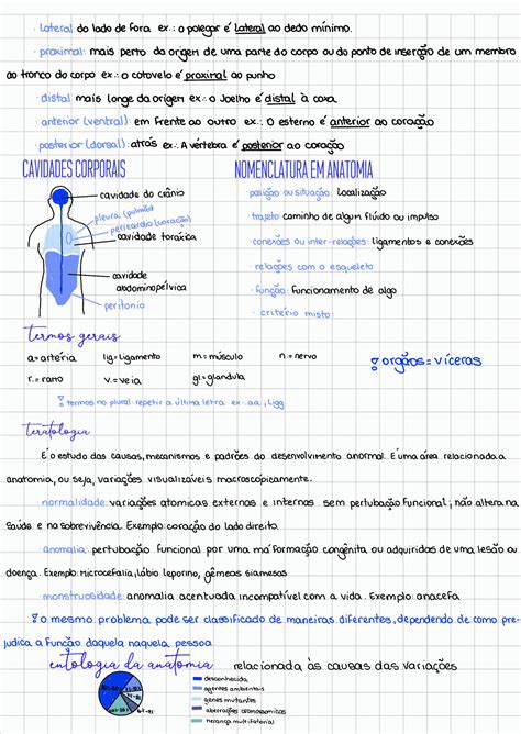 Solution Anatomia Humana Studypool