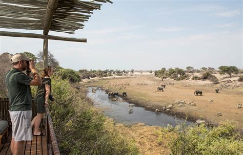 Days Botswana Honeymoon Safari Southern Dynasty Safaris