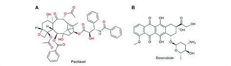 A Structure Of Paclitaxel B Structure Of Doxorubicin Download