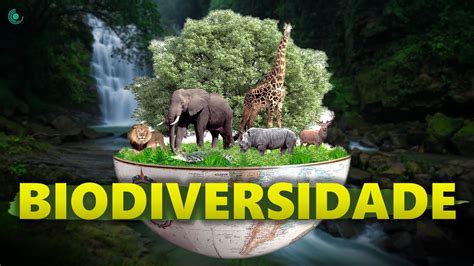 O Que é Biodiversidade Youtube