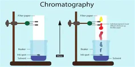 Chromatography in Chemistry - Assignment Point