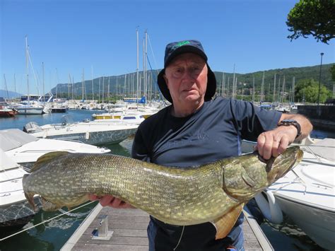 P Che Une Belle Prise Aix Les Bains Un Brochet D M Et Dune