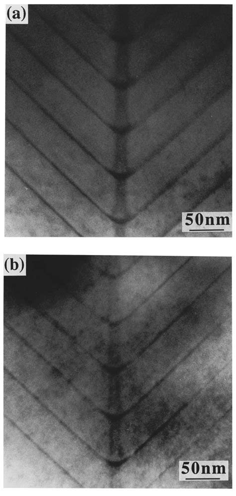 Cross Sectional Bright Field Transmission Electron Microscope Images Of